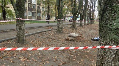 Прибирала листя і провалилася під землю: у Полтаві загинула жінка