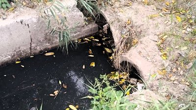Стічні води з каналізації, які потрапили у Бузький лиман