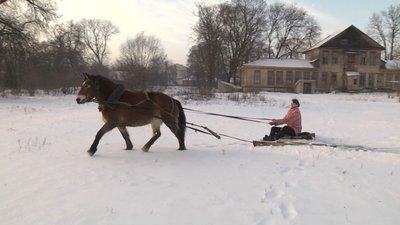 Кобила Зорька-Полька замість трактора прибирає сніг біля райлікарні. СУСПІЛЬНЕ | ВІДЕОНОВИНИ