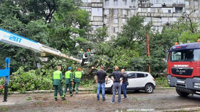 У Миколаєві дерево впало на автомобіль У Миколаєві дерево впало на автомобіль