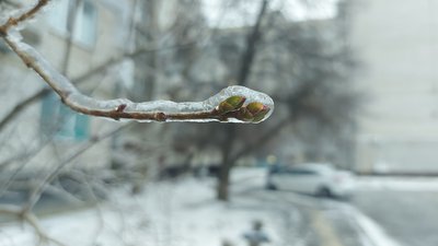 крижаний дощ