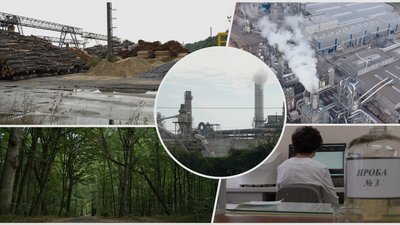 Вплив деревообробних підприємств на довкілля на Рівненщині