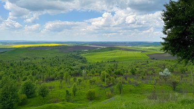 Земельна ділянка
