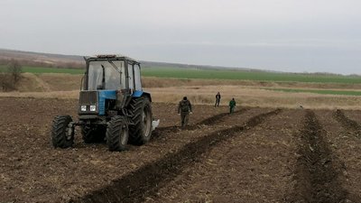 Замість вирубаних дерев – дуби. У Кропивницькому районі засаджують пустирі