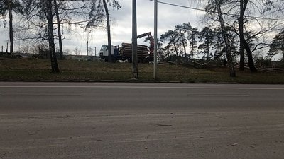 У Черкасах вирубують дерева. Що кажуть у міськраді У Черкасах вирубують дерева. Що кажуть у міськраді