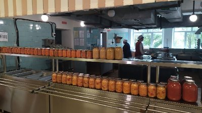 На Кіровоградщині завдяки проєкту "Сади Перемоги” врожай овочів збільшився на 30 відсотків