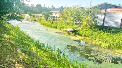 Дворічний хлопчик та жінка загинули на водоймах Рівненщини — ДСНС