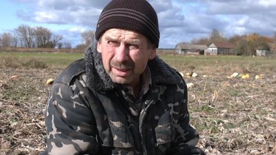 Протягом осені ціна зростала тричі: як збирають та здають гарбузи на прикордонні Чернігівщини Протягом осені ціна зростала тричі: як збирають та здають гарбузи на прикордонні Чернігівщини