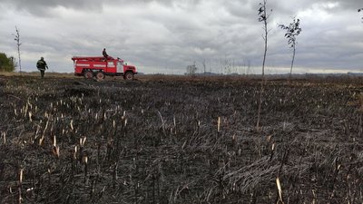 На Полтавщині восьму добу гасять пожежу на покладах торфу