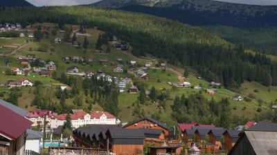 Ліс, Буковель, прокуратура