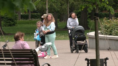 Піковий період розмноження мошок у Чернігові: скільки це триватиме та як від них рятуватися Піковий період розмноження мошок у Чернігові: скільки це триватиме та як від них рятуватися