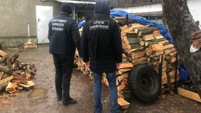 Деревина на мільйон: поліція на Одещині затримала людей, які незаконно вирубували ліс Деревина на мільйон: поліція на Одещині затримала людей, які незаконно вирубували ліс
