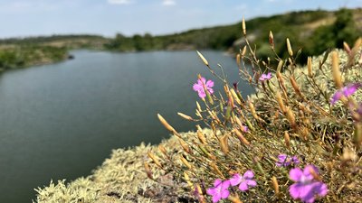 войнівський заказник, сонячна погода