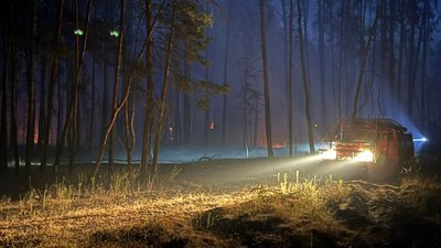 Лісова пожежа і авто ДСНС Лісова пожежа і авто ДСНС