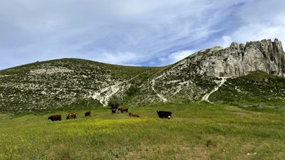 Білокузьминівські скелі у Донецькій області