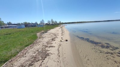 Чи надовго піднявся рівень води у волинському Світязі: що кажуть фахівці Чи надовго піднявся рівень води у волинському Світязі: що кажуть фахівці