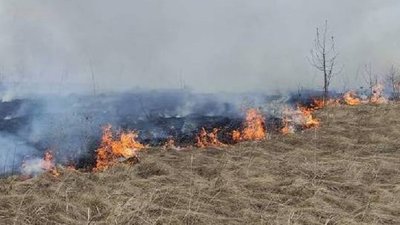 За добу в Чернівецькій області сталось майже 30 пожеж. Яка за це відповідальність За добу в Чернівецькій області сталось майже 30 пожеж. Яка за це відповідальність