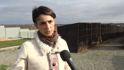 На Прикарпатті жителі збирають підписи проти центру перетримки і реабілітації собак