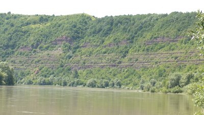 Шлях перших на Прикарпатті помідор та курорт у котловині Дністра. Історія села Городниця Шлях перших на Прикарпатті помідор та курорт у котловині Дністра. Історія села Городниця