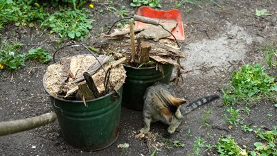 люди життя прифронтове село Крутий Яр Донецька область люди життя прифронтове село Крутий Яр Донецька область