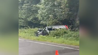 В’їхав у дерево: на Львівщині через ДТП травмовані четверо людей
