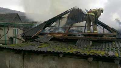 Пожежа на Виноградівщині: вогонь знищив 2 тонни сіна, перекриття та покрівлю надвірної споруди