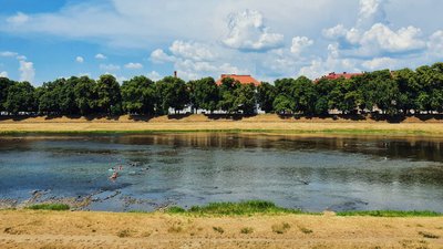 Заборона купання у водоймах Ужгорода: що робитимуть відпочивальники
