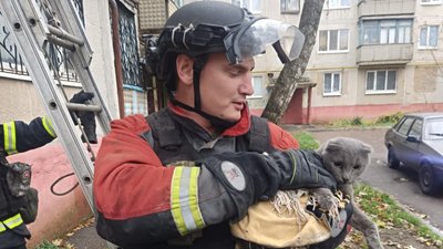 Дружківка: рятувальники дістали кошеня із зачиненої квартири