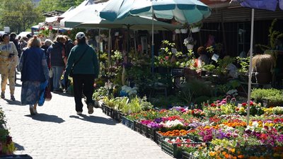 Квіти на ринку