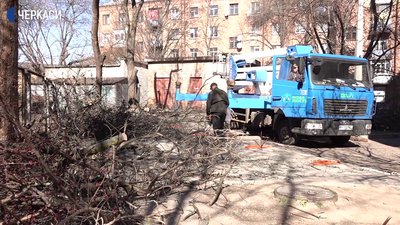 У Черкасах проводять санітарну обрізку дерев У Черкасах проводять санітарну обрізку дерев