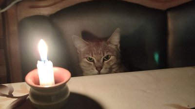 7 лютого на Волині вимикатимуть світло за графіками
