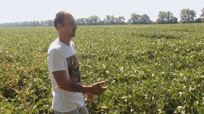 Олександр Медведк показує поле, на якому, за його словами, він намагався зупинити трактор з обприскувачем Олександр Медведк показує поле, на якому, за його словами, він намагався зупинити трактор з обприскувачем