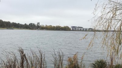 У Рівному в озері знайшли тіло безвісти зниклої жінки