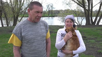 лебедята лебедята