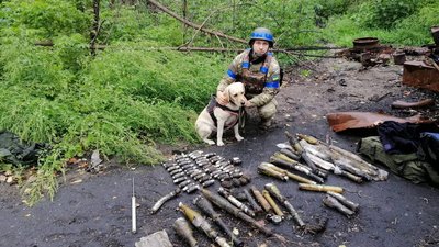 На Донеччині службові собаки допомогли знайти більше тисячі вибухових пристроїв На Донеччині службові собаки допомогли знайти більше тисячі вибухових пристроїв