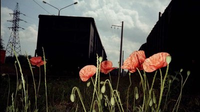 "Всі мої проєкти зняті в Україні": львівський фотограф розповів про міжнародний досвід "Всі мої проєкти зняті в Україні": львівський фотограф розповів про міжнародний досвід