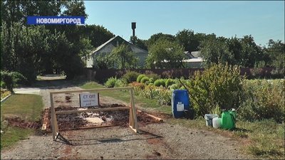 На Кірвооградщині через спалах африканської чуми умертвили майже півсотні свиней