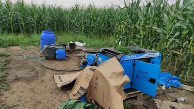 На полі з кукурудзою: на Херсонщині наркоділки знаходять нові способи вирощування конопель На полі з кукурудзою: на Херсонщині наркоділки знаходять нові способи вирощування конопель