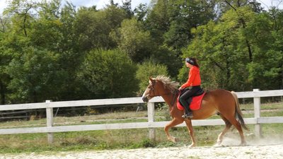 Розвиває кінний спорт на Прикарпатті. Матіас Гепфнер Розвиває кінний спорт на Прикарпатті. Матіас Гепфнер