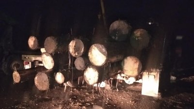 Незаконну порубку лісу виявили закарпатські правоохоронці на Міжгірщині Незаконну порубку лісу виявили закарпатські правоохоронці на Міжгірщині