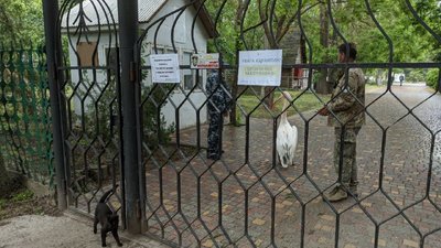 На Одещині на території приватного комплексу проживає червонокнижний пелікан. Екологи планують його вилучити На Одещині на території приватного комплексу проживає червонокнижний пелікан. Екологи планують його вилучити