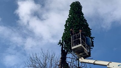 В Івано-Франківську до кінця тижня встановлять новорічну ялинку В Івано-Франківську до кінця тижня встановлять новорічну ялинку
