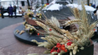 З лампадками, колосками та квітами: житомиряни прийшли вшанувати пам'ять жертв голодоморів З лампадками, колосками та квітами: житомиряни прийшли вшанувати пам'ять жертв голодоморів