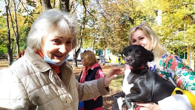 "Щастя не має породи" – у Миколаєві шукали домівки для безпритульних собак "Щастя не має породи" – у Миколаєві шукали домівки для безпритульних собак