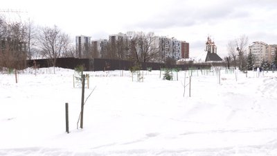 Чи забудують сквер біля міського озера в Івано-Франківську?