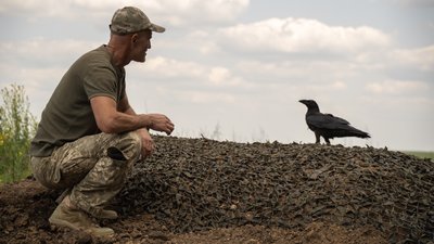 Позивний "Мавік": як тероборонівці Харківщини приручили ворона