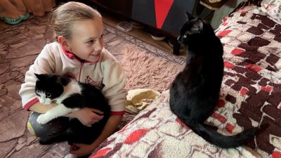 Діти та коти Діти та коти