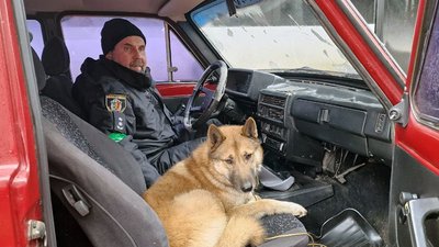 Підполковник поліції Андрій Дуранков звик до чотирилапого друга і привіз його з Харківщини до свого дому Підполковник поліції Андрій Дуранков звик до чотирилапого друга і привіз його з Харківщини до свого дому