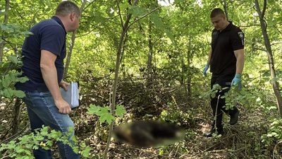 Одесит вчинив вбивство жінки, прикидав її тіло гіллям та втік Одесит вчинив вбивство жінки, прикидав її тіло гіллям та втік