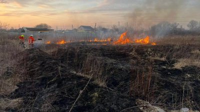 Пожежі сухої рослинності: що треба знати жителям Полтавщини Пожежі сухої рослинності: що треба знати жителям Полтавщини